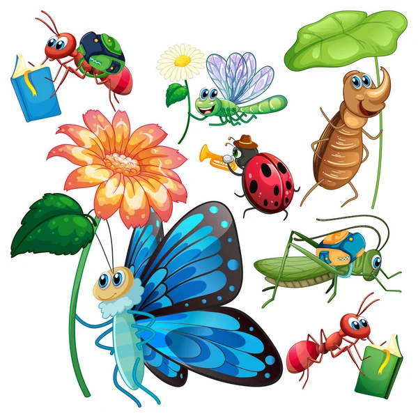 Set Various Insect Cartoon Characters Illustration — Stock Vector
