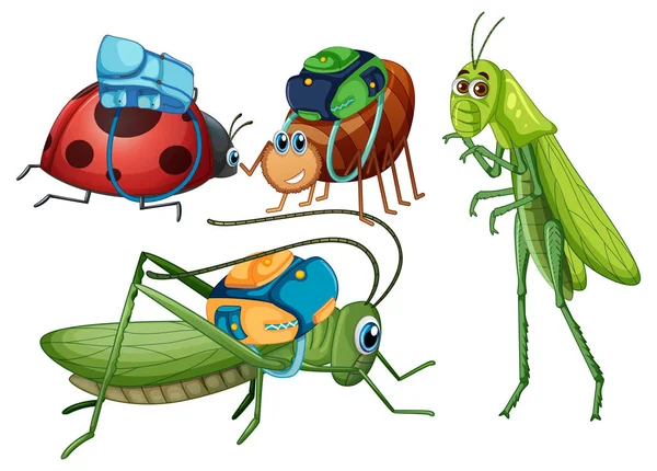 Set Insect Cartoon Character Illustration — Stock Vector