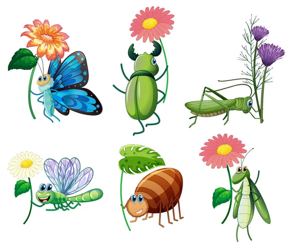 Set Von Verschiedenen Insekten Zeichentrickfiguren Illustration — Stockvektor