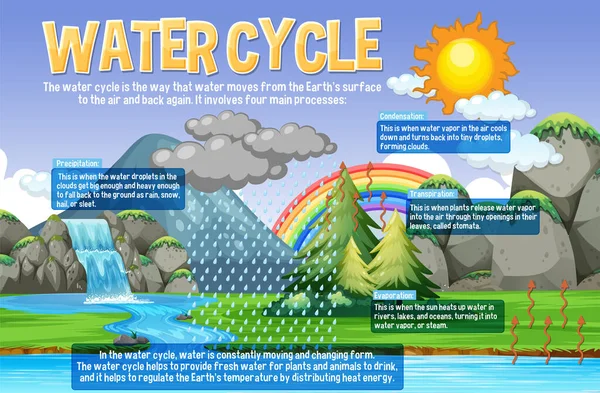 Water Cycle Science Onderwijs Illustratie — Stockvector