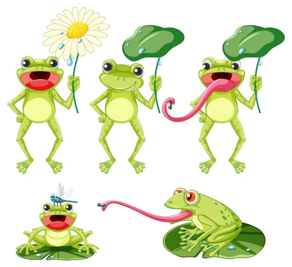 一套绿色青蛙卡通人物插图 — 图库矢量图片