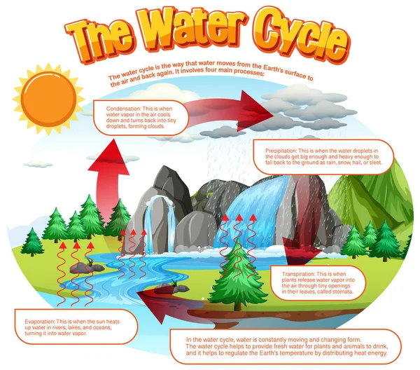 Water Cycle Diagram Science Education Illustration — Stockvektor