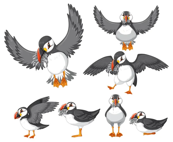 Puffin Birds Cartoon Style Illustration — 스톡 벡터