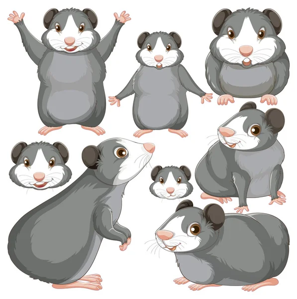 Set Guinea Pig Cartoon Character Head Facial Expression Illustration — Stock Vector