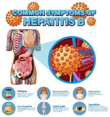 Hepatit B illüstrasyonu yaygın belirtilerin bilgilendirici posteri
