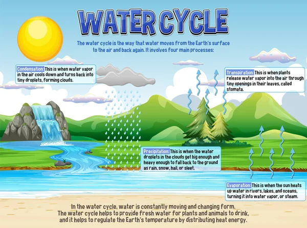 Water Cycle Science Education Illustration — Stockvektor