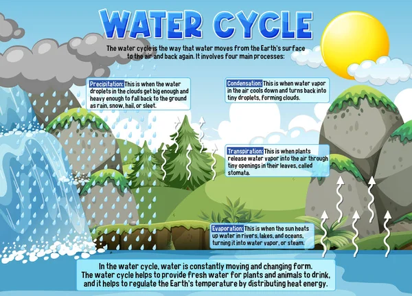 Water Cycle Science Education Illustration — Vetor de Stock