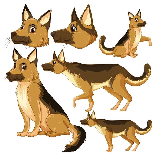 Uppsättning Tyska Herde Hund Tecknad Karaktär Med Huvud Och Ansiktsuttryck — Stock vektor