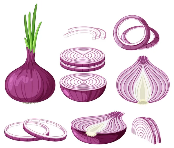 Isolated Red Onion Cartoon Illustration — Archivo Imágenes Vectoriales