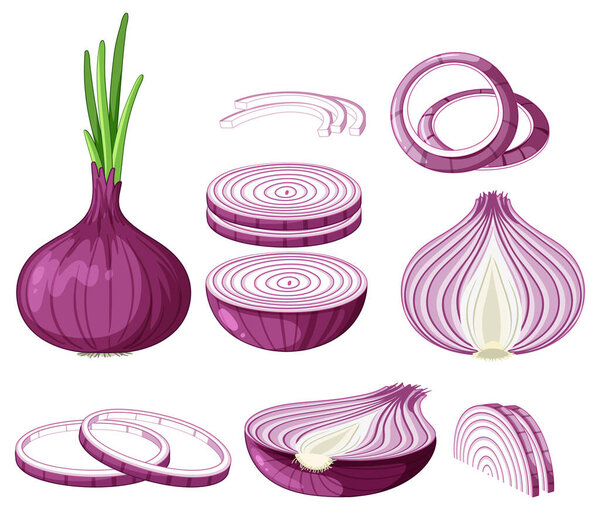 Isolated red onion cartoon illustration