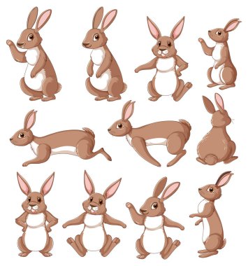 Cute rabbit cartoon character collection illustration