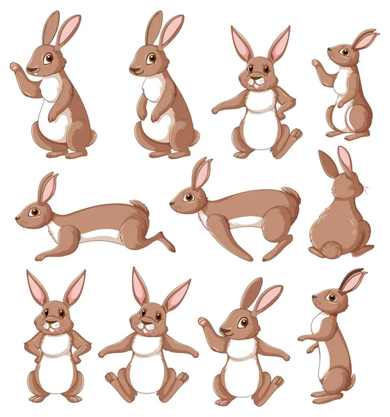 Cute Rabbit Cartoon Character Collection Illustration — Stockvector