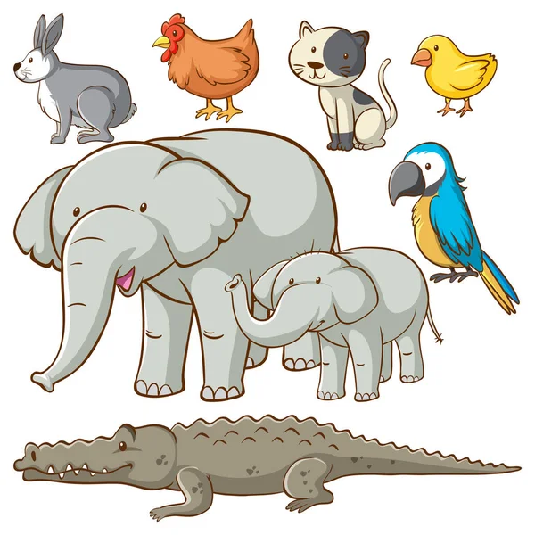 Set Animali Semplici Cartone Animato Personaggio Illustrazione — Vettoriale Stock
