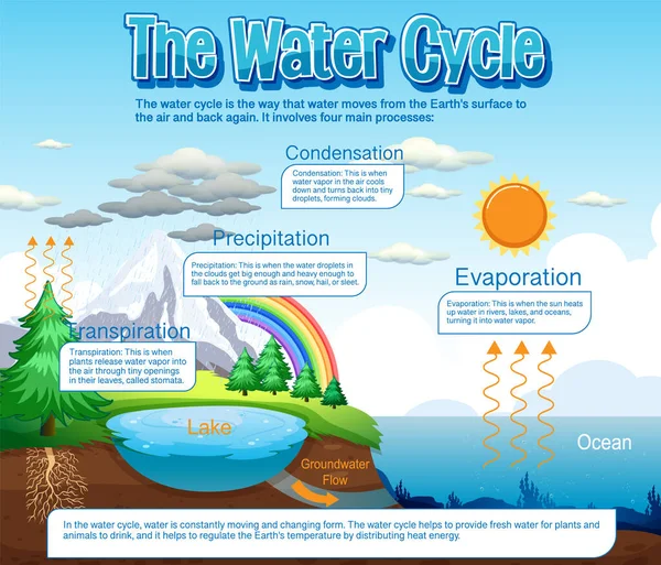 Water Cycle Diagram Science Education Illustration — Διανυσματικό Αρχείο