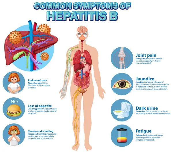 Информационный Плакат Общих Симптомов Иллюстрация Гепатита — стоковый вектор