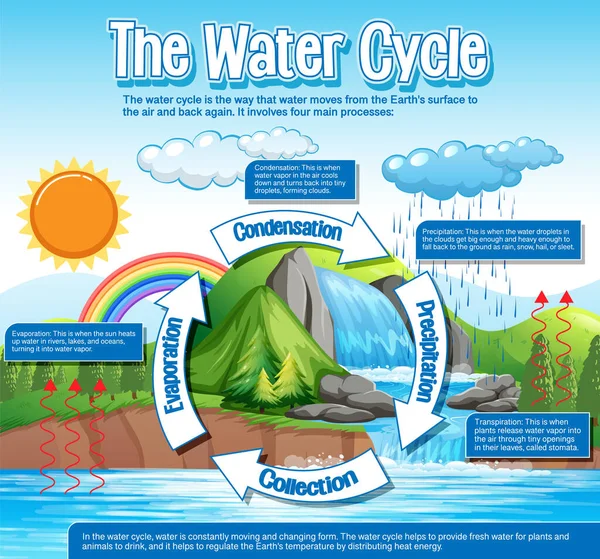 Diagrama Ciclo Água Para Ilustração Ensino Ciências —  Vetores de Stock