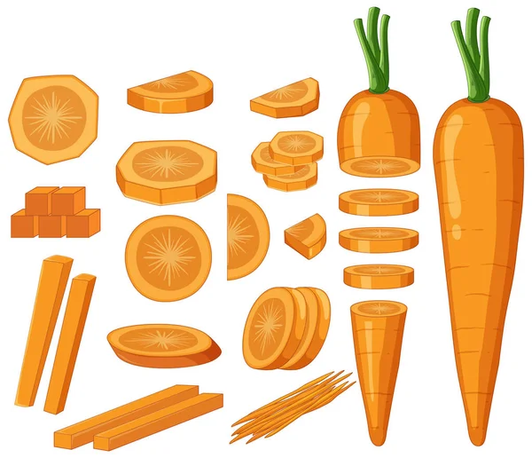 Carrot Whole Sliced Pieces Illustration — Stock Vector