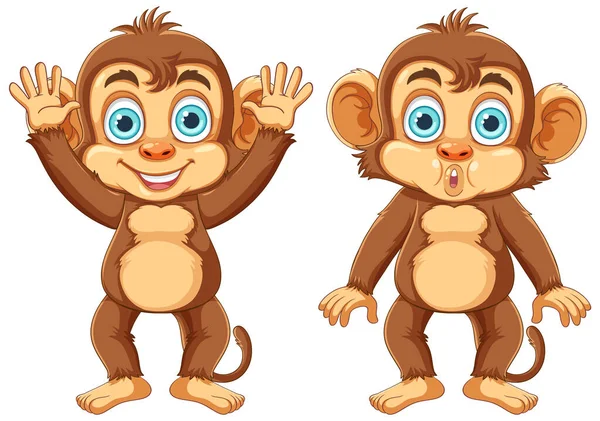 Дві Смішні Мавпи Мультфільм Ілюстрація Персонажа — стоковий вектор