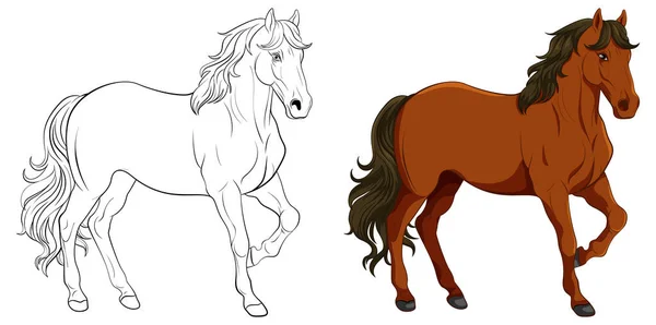 Set Cavallo Suo Scarabocchio Schema Illustrazione — Vettoriale Stock