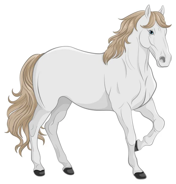 Изолированная Иллюстрация Белого Коня — стоковый вектор