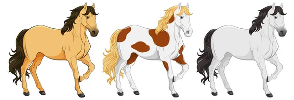 Set Cartone Animato Cavallo Isolato Illustrazione — Vettoriale Stock