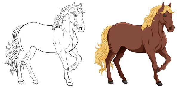 Conjunto Cavalo Sua Ilustração Esboço Doodle — Vetor de Stock