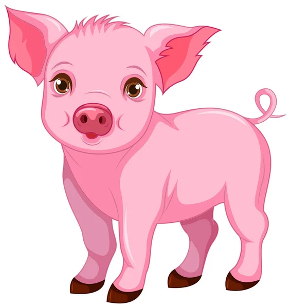 かわいい豚漫画孤立イラスト — ストックベクタ