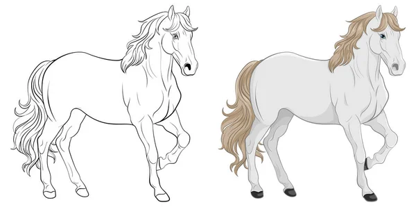 Vit Häst Tecknad Isolerad Illustration — Stock vektor