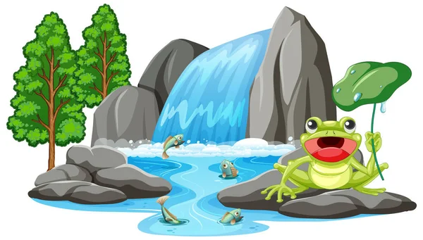 Frog Waterfall Scene Illustration — Stock Vector