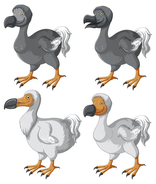 Balck White Dodo Birds Set Illustration — Stock Vector