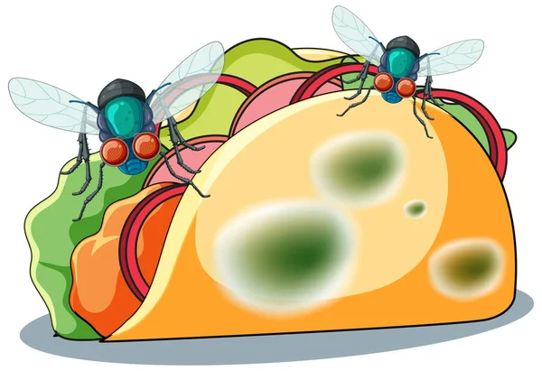 用苍蝇和霉菌图解塔科食品分解 — 图库矢量图片
