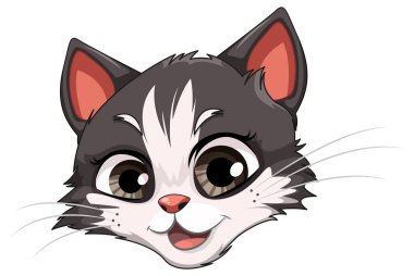 Çarpıcı Kahverengi Gözlü Gri Beyaz Kedi Başı