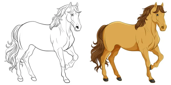 Set Horse Its Doodle Outline Illustration — Stock Vector