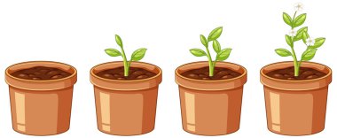 Canlı bir vektör illüstrasyonu, bir çömlekteki bitkilerin büyümesini ve ilerlemesini gösteriyor.