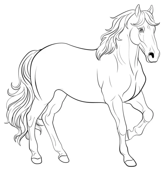 Doodle Häst Tecknad Klotter Illustration — Stock vektor