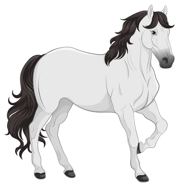Білий Кінь Мультфільм Ізольовані Ілюстрації — стоковий вектор