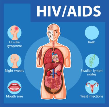 HIV / AIDS virüsünün insan bağışıklık sistemine etkisi