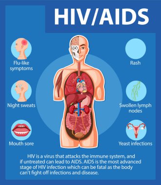 HIV / AIDS virüsünün insan vücuduna nasıl saldırıp etkilediğini gösteren bir resim