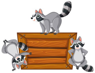 Ahşap pankart çerçeveli sevimli rakun karikatürü