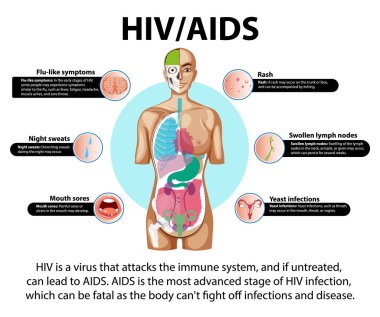 HIV / AIDS virüsünün bağışıklık sistemine nasıl saldırdığını ve beyni, ağzı ve deriyi nasıl etkilediğini gösteren çizimler