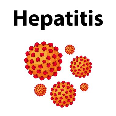 Hepatit virüsü hücresinin detaylı çizimi