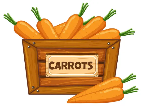 Красочная Карикатура Морковь Деревянной Коробке Вывеской — стоковый вектор