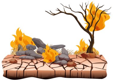 Ormansızlaşma krizinin yol açtığı bir orman yangınıyla harap olmuş kuru bir arazinin tasviri