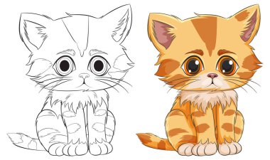 Çizilmiş ve renkli bir kedi yavrusunun vektör çizimi