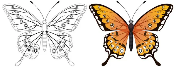 Ілюстрація Метелика Чорно Білого Кольорового Ліцензійні Стокові Ілюстрації
