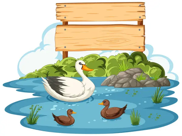 Swan Ducks Tranquil Pond Setting — Stock Vector