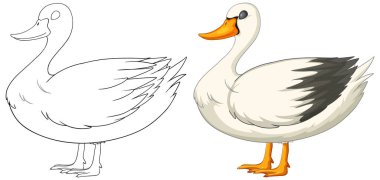 Boyamadan önce ve sonra bir ördeğin vektör çizimi