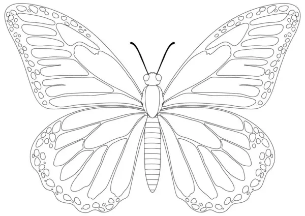 蝴蝶的黑白轮廓 — 图库矢量图片