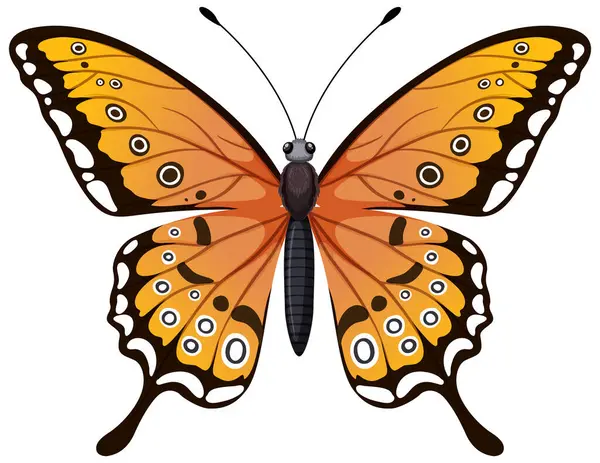 君主蝶のカラフルなベクターグラフィック — ストックベクタ