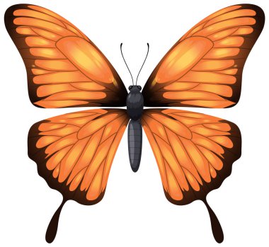 Turuncu kral kelebeğinin detaylı vektör grafiği